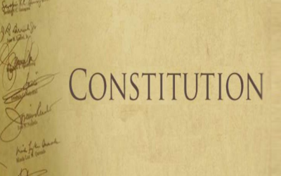 Constitution of the Organization