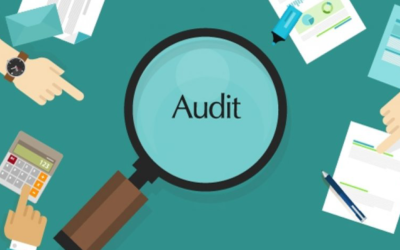 Audit Report & Audited Financial Statements